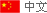 簡體中文